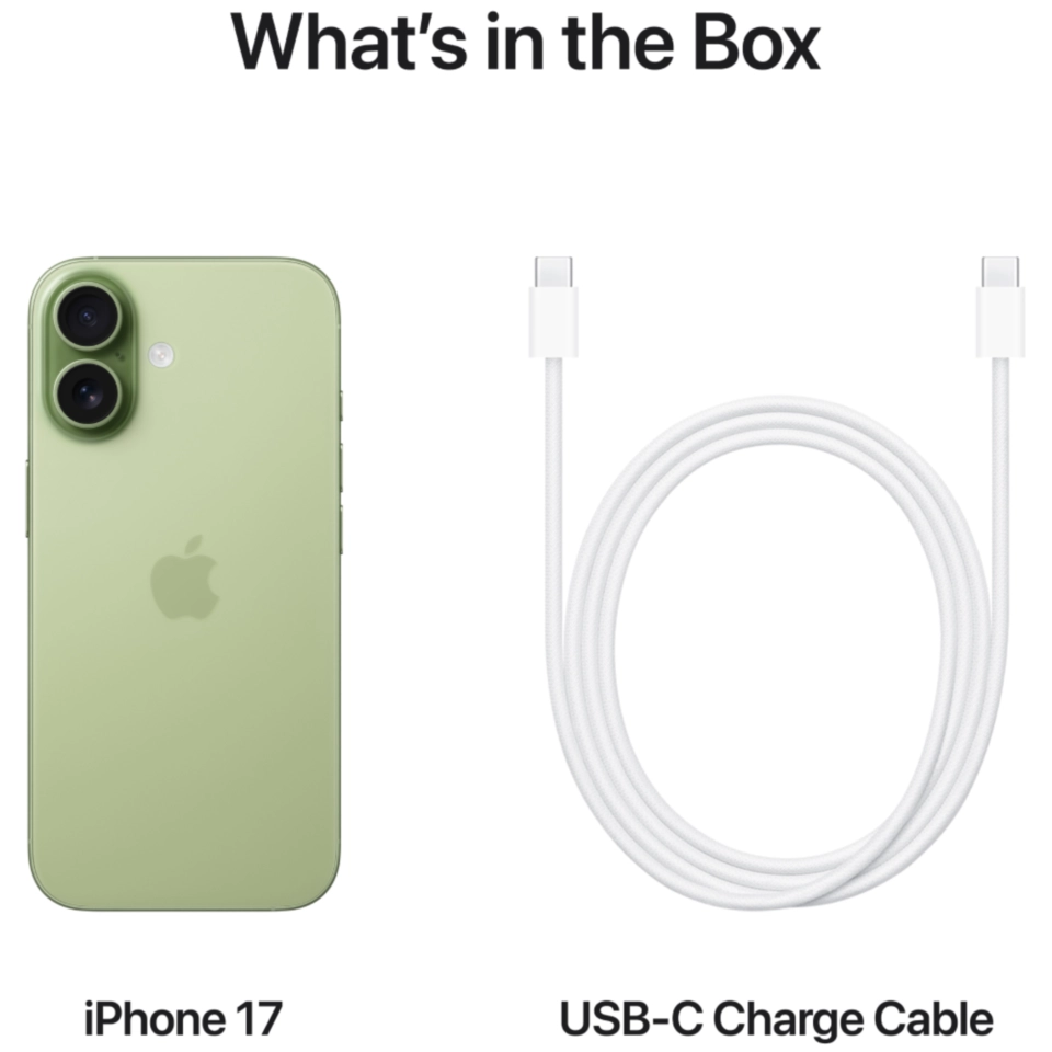 iPhone 17 Только eSIM 256 ГБ Шалфейный