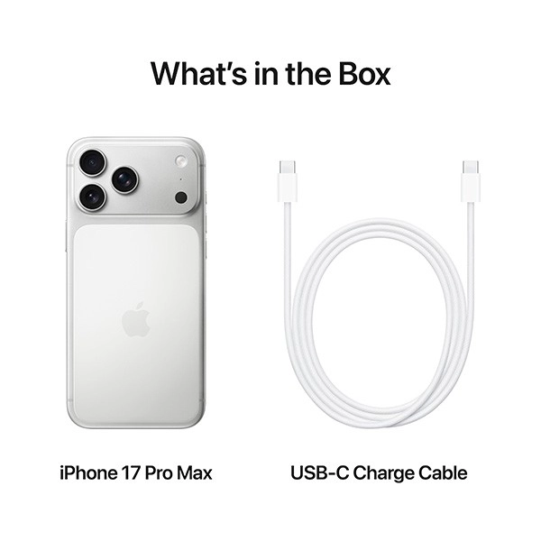 iPhone 17 Pro Max Только eSIM 1 ТБ Серебристый