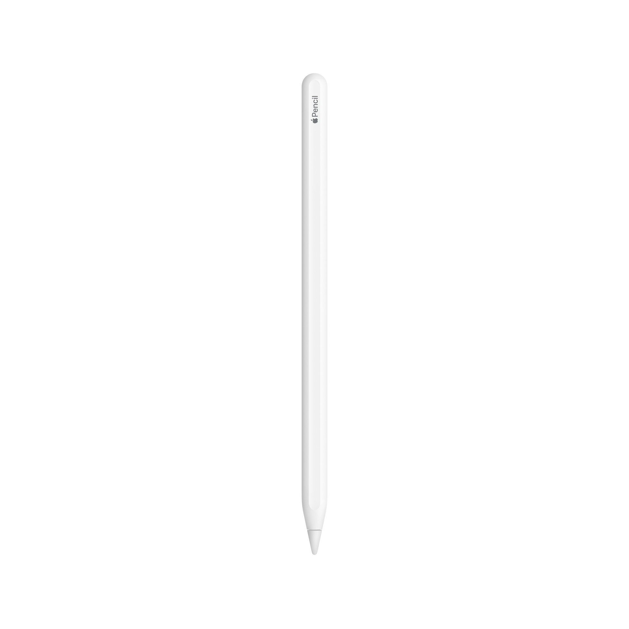 Apple Pencil 2 (أبيض)
